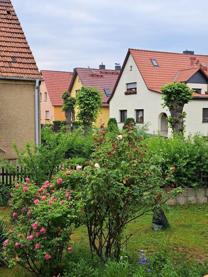 Ferienwohnung Rosengarten 巴伦施泰特 外观 照片